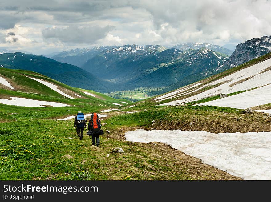 Snow And Grass