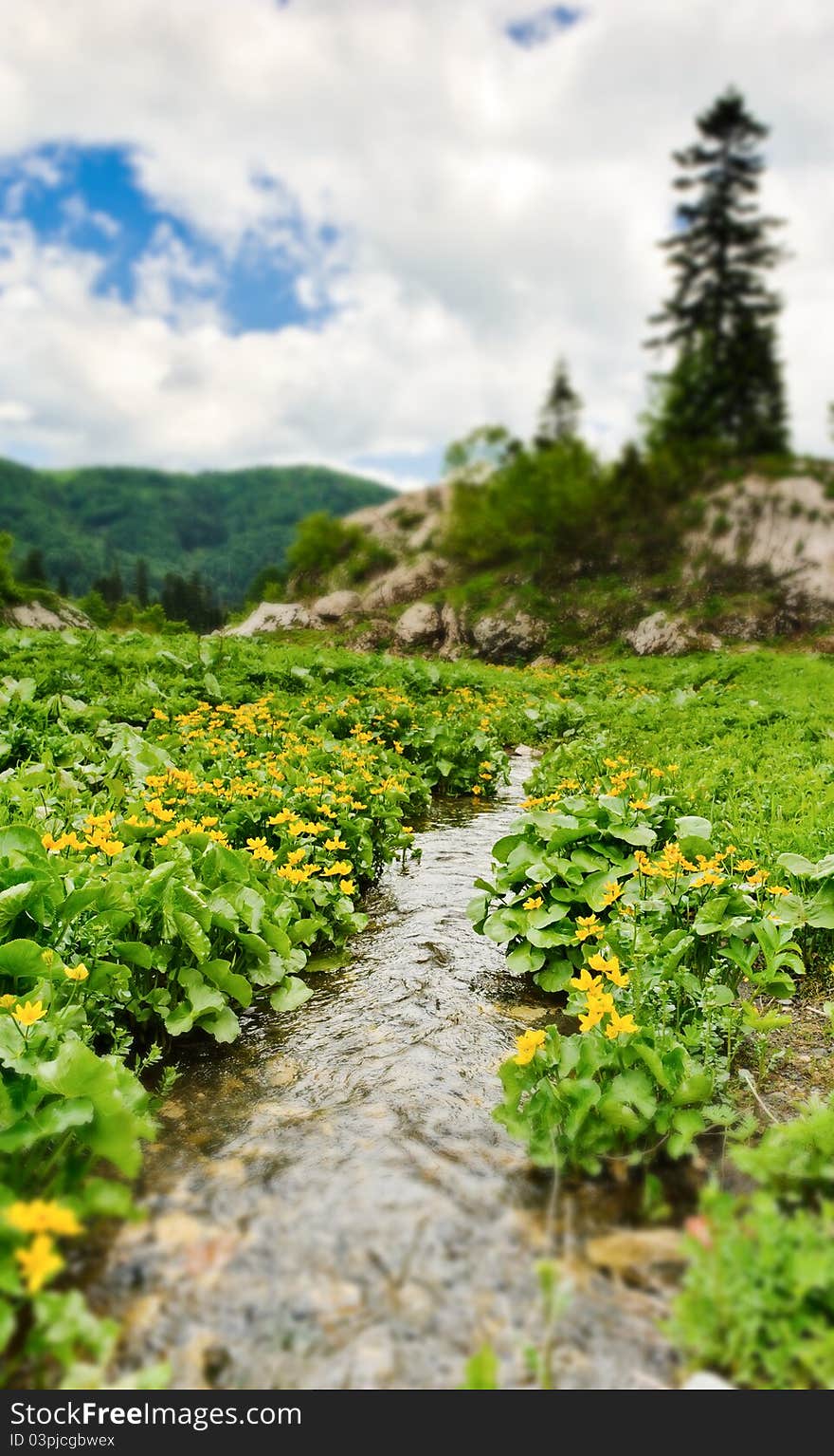 Bright green meadow with river