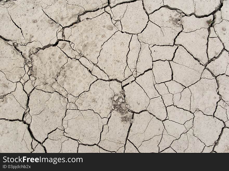 A section of dried and cracked lakebed. A section of dried and cracked lakebed.