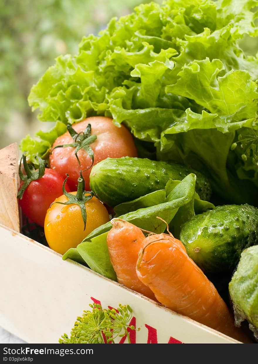 Different fresh vegetables with focus on tomato