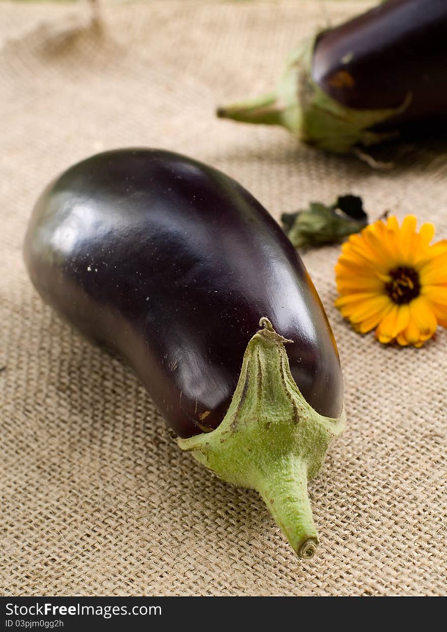 Eggplant