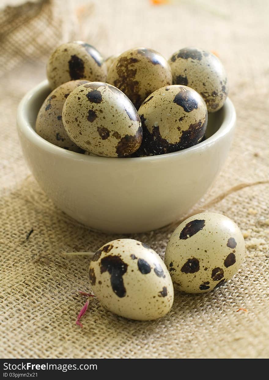 Fresh quail egg in bowl. Selective focus