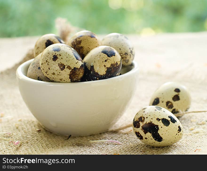 Fresh quail egg in bowl. Selective focus