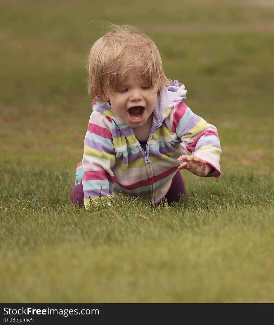 A toddler crawling through a field. A toddler crawling through a field