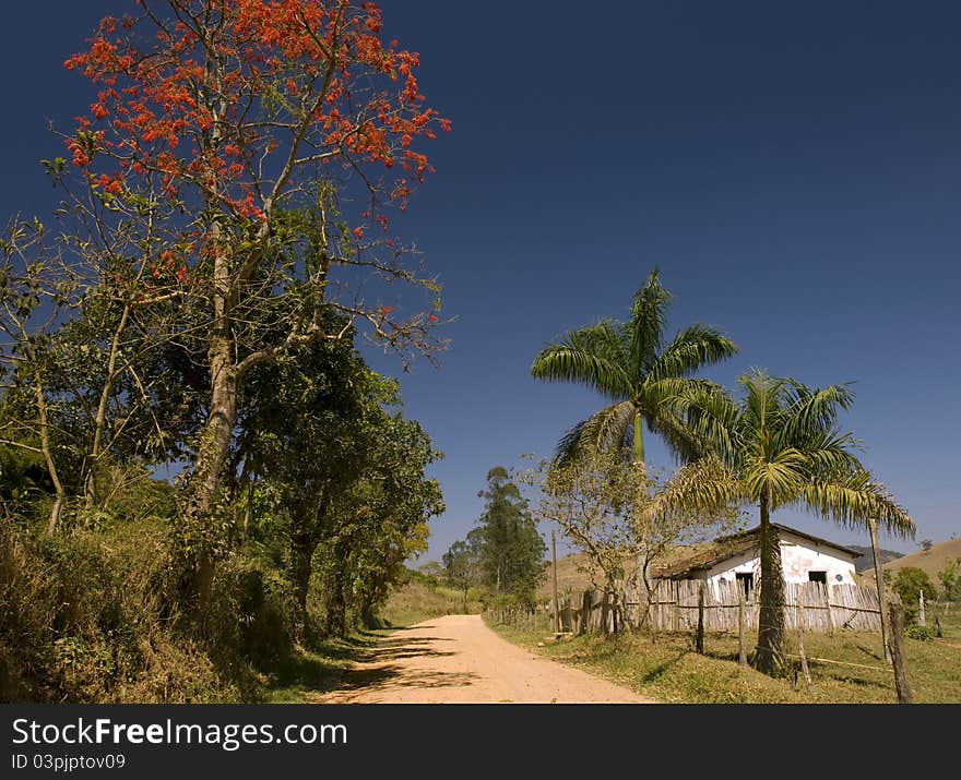 A peacefull rural path. Dust road and humble house.