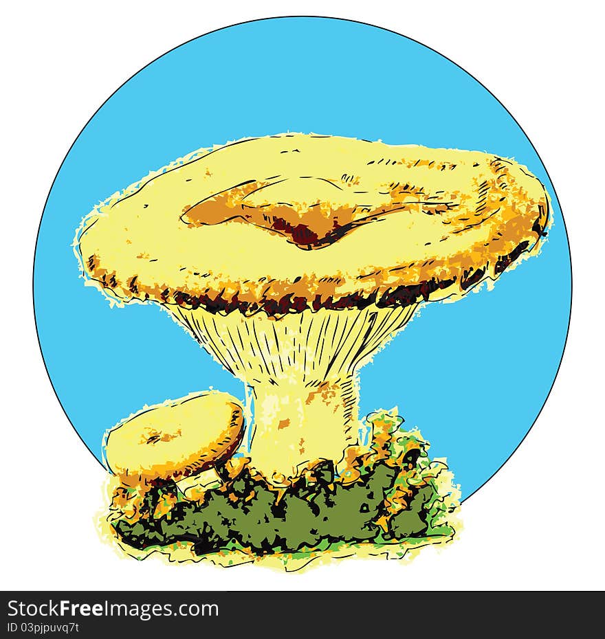 Vector illustration of milk mushroom, edible fungus. Illustration in EPS.