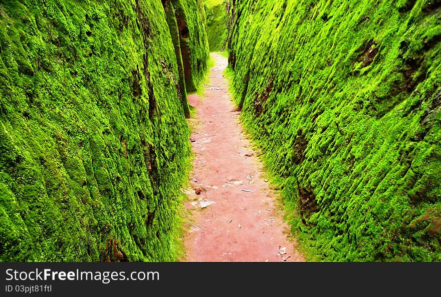 Green cavern walls