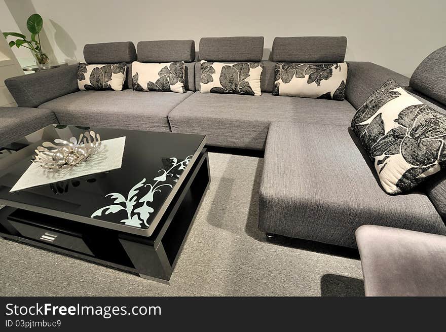 Modern style furniture in black and white