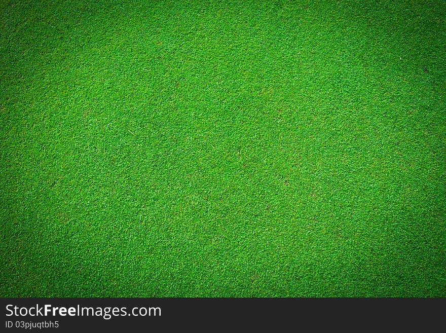 Real green grass background