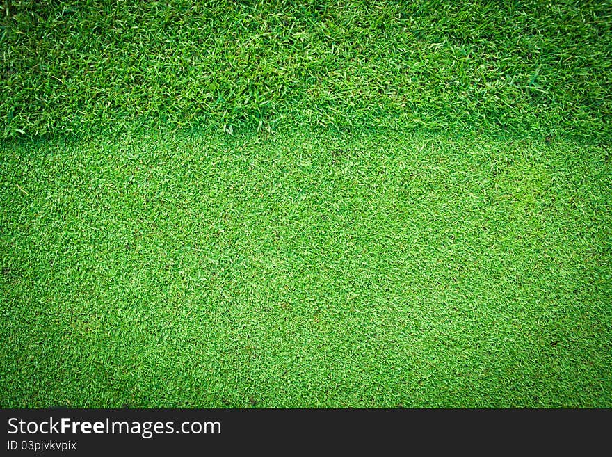 Real Green Grass Background