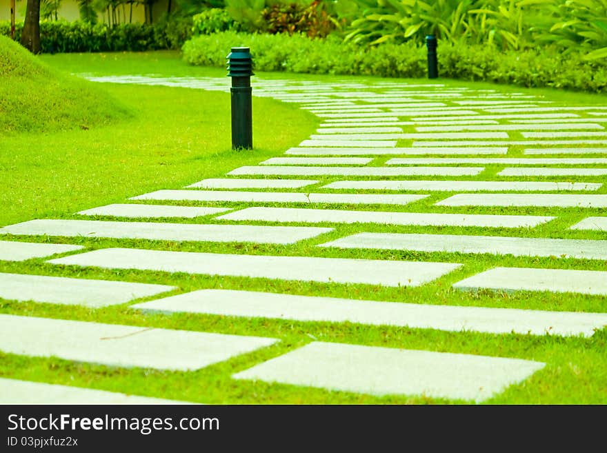 The pathway in a garden