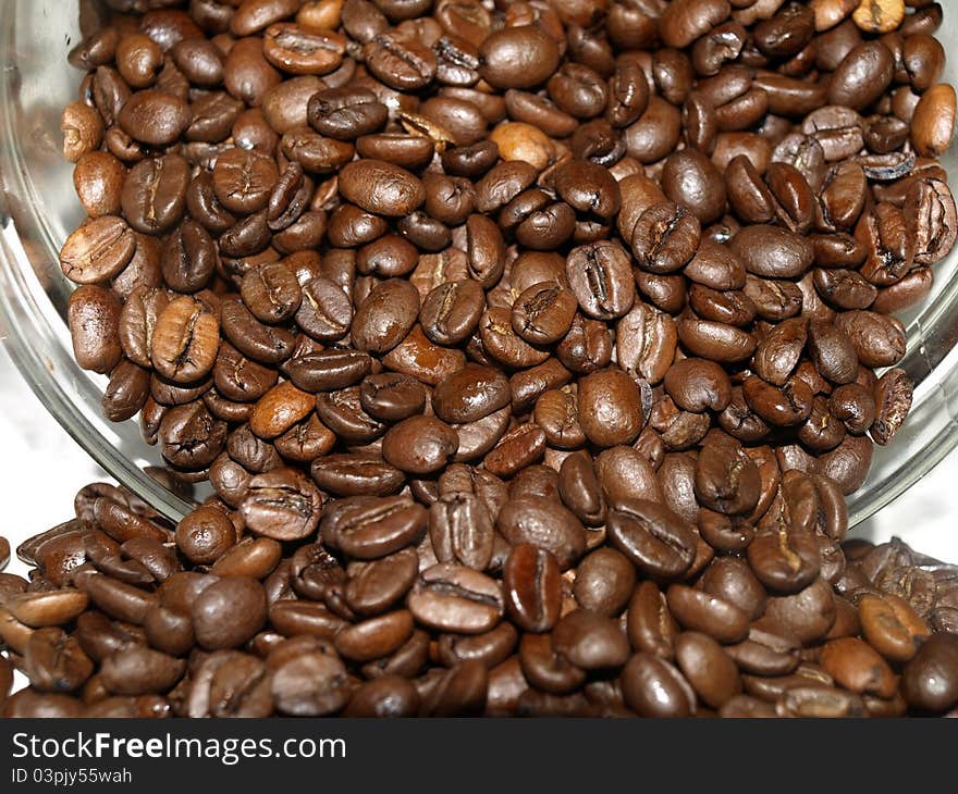 Coffee Beans