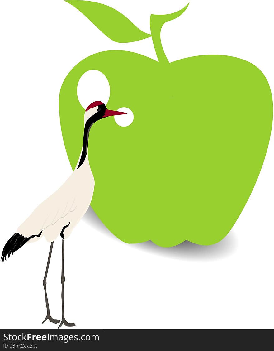 Picture bird and green apple