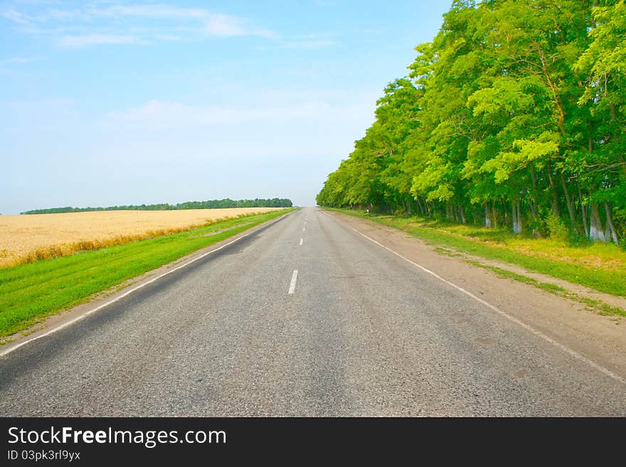 Scene beautiful wheat field and road on background solar blue sky