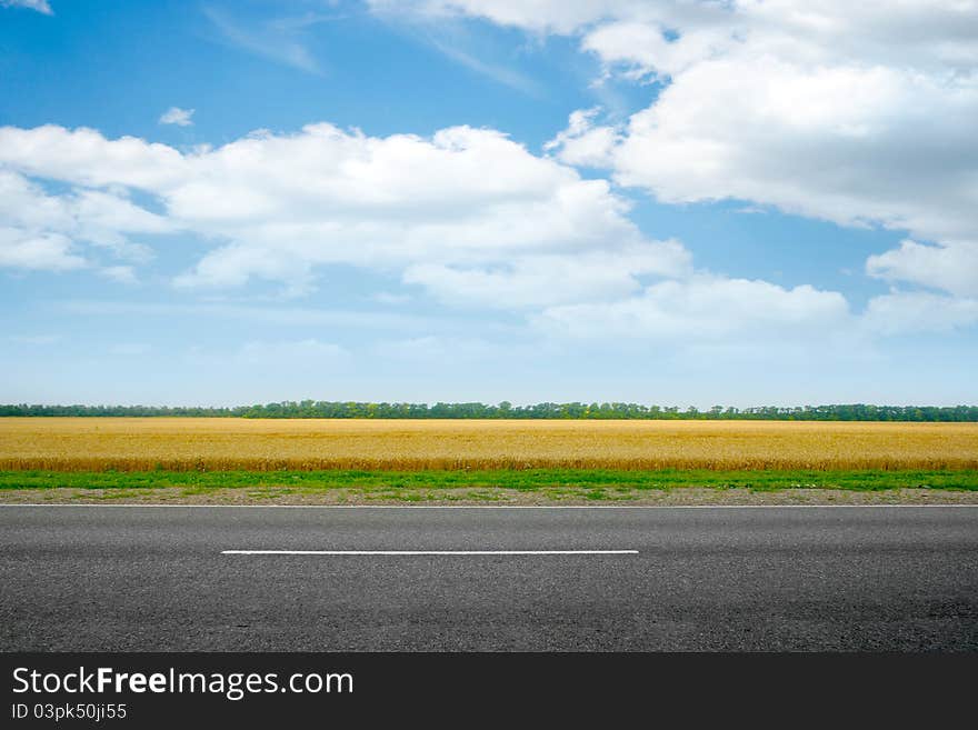 Scene beautiful wheat field and road on background solar blue sky