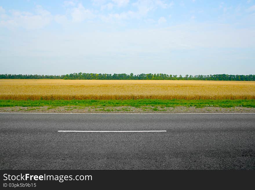 Scene beautiful wheat field and road on background solar blue sky