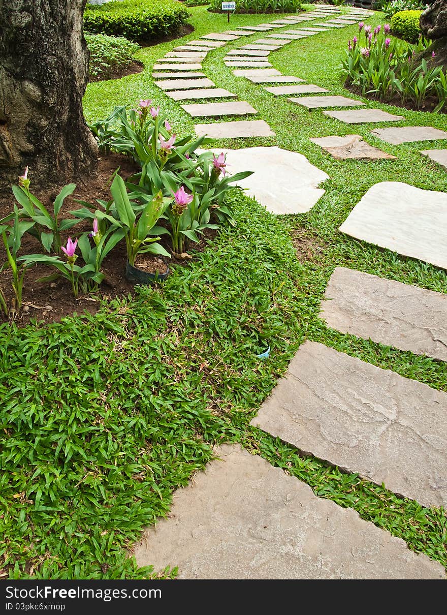 Stone walkway in the park.