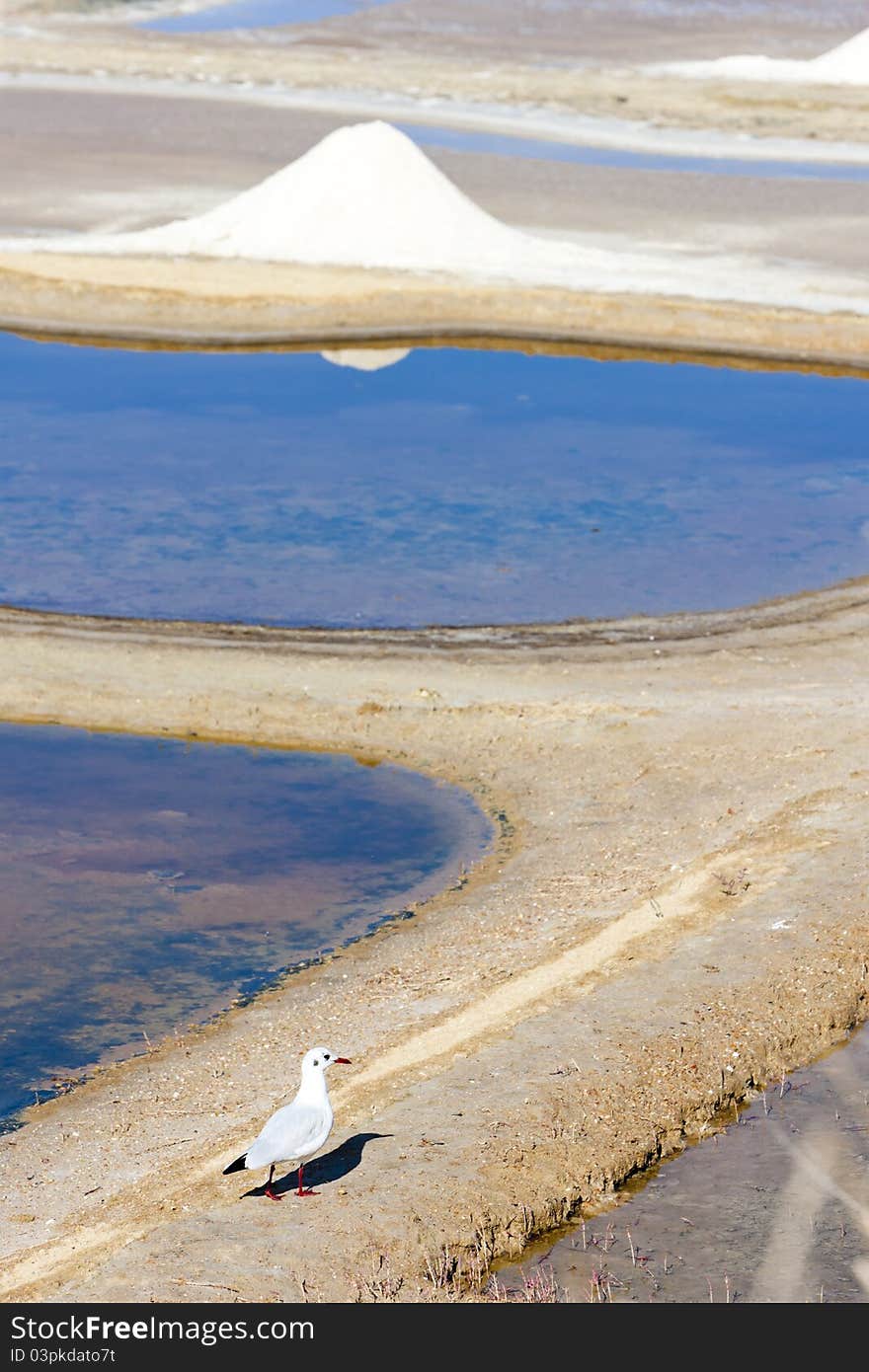 Saline, Port des Salines, Oleron Island, Poitou-Charentes, France