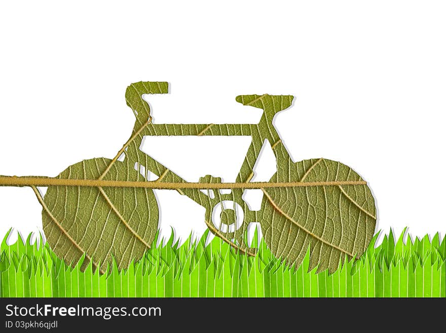 Pushbike from green leave, eco concept