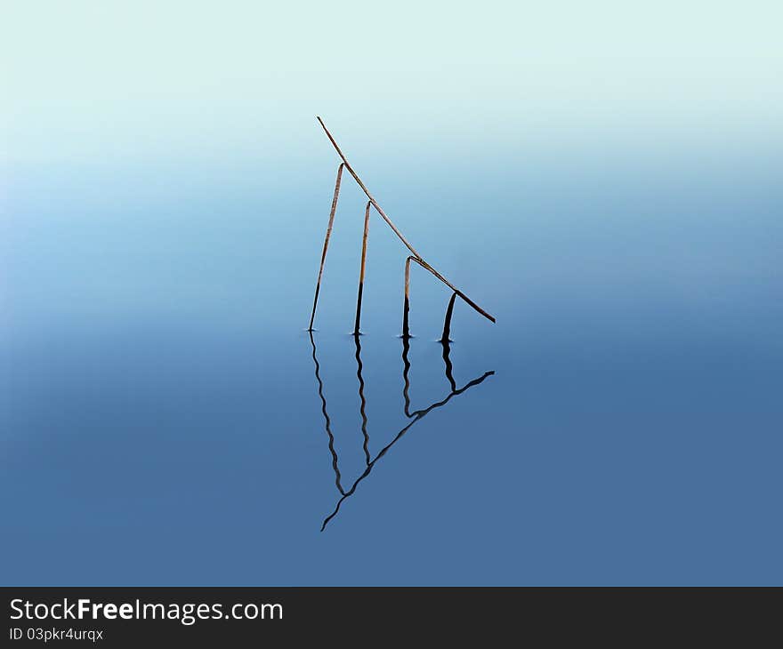 Straw lying on the surface of water reflecting the blue sky. Straw lying on the surface of water reflecting the blue sky