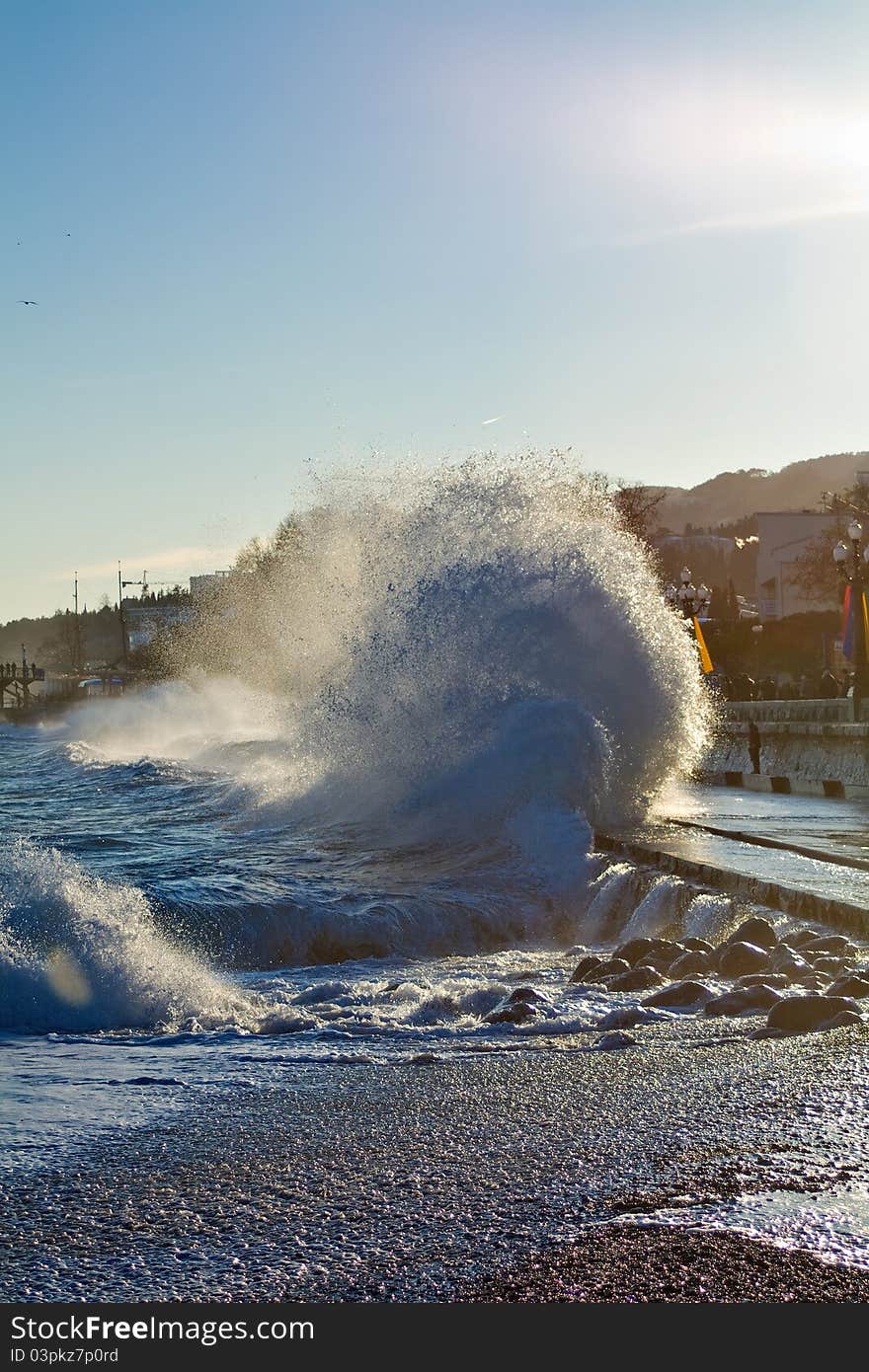 Wave on the sea front. Wave on the sea front