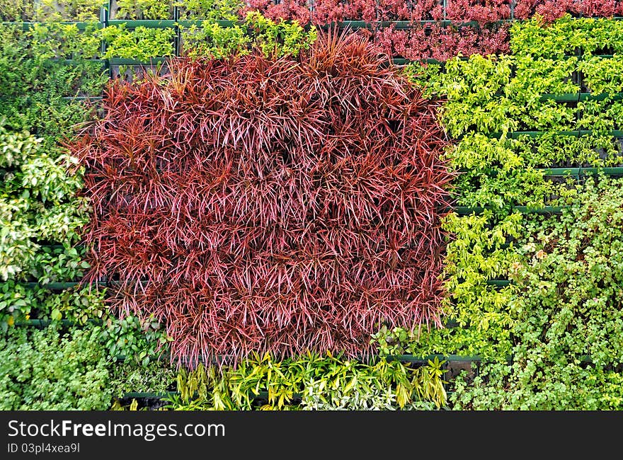 Clour Leaves Wall Background