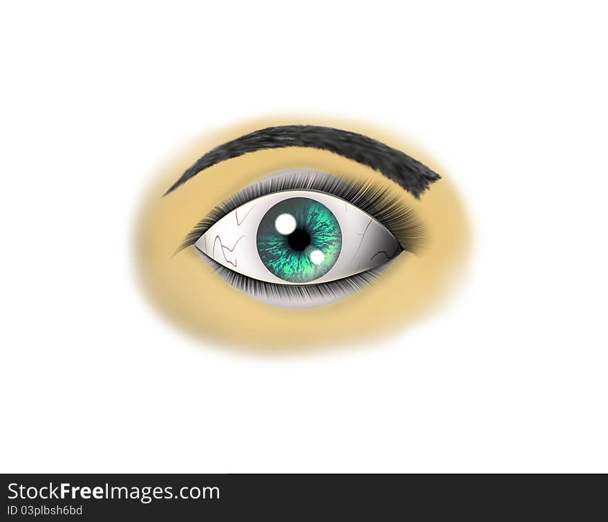 Eye human on a white background