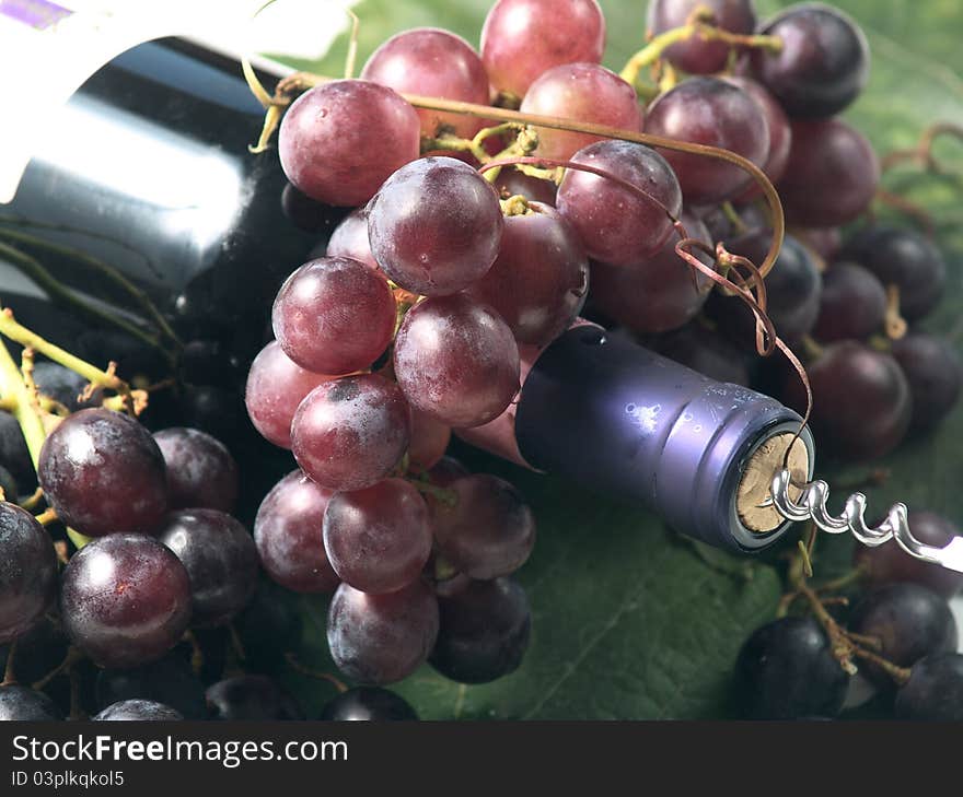 Reserve wine bottle with grapes