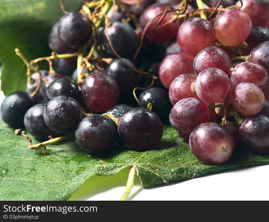 Red grapes on a leaf