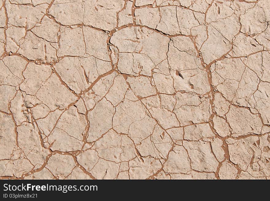 Intrinsic pattern of mud on a hot day. Intrinsic pattern of mud on a hot day