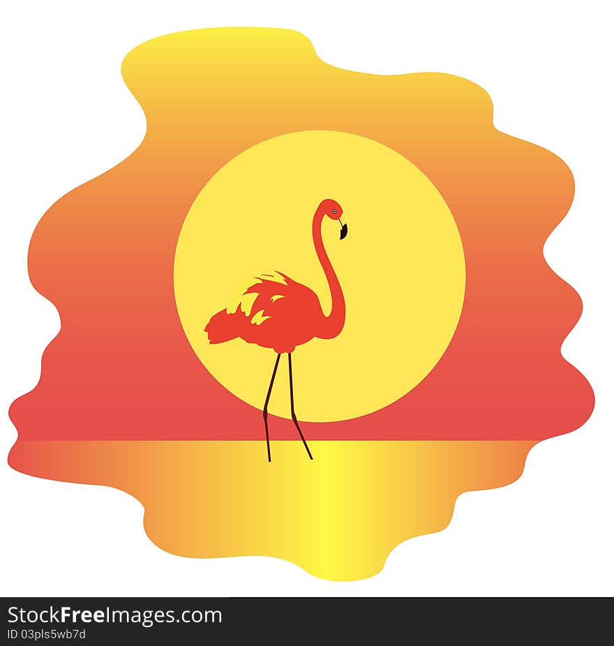 Flamingo standing in water on sunset