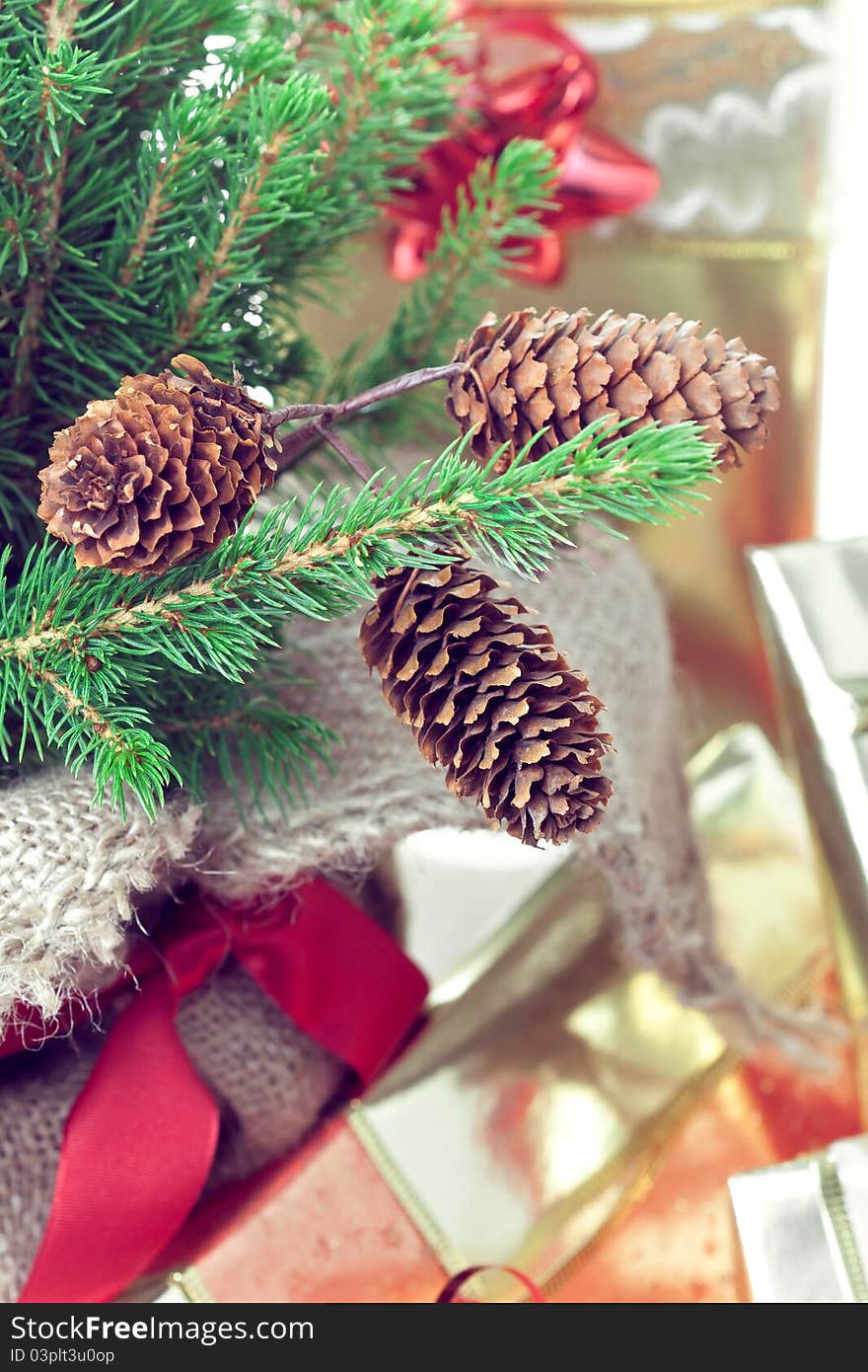 Christmas presents under the christmas tree, close-up shot