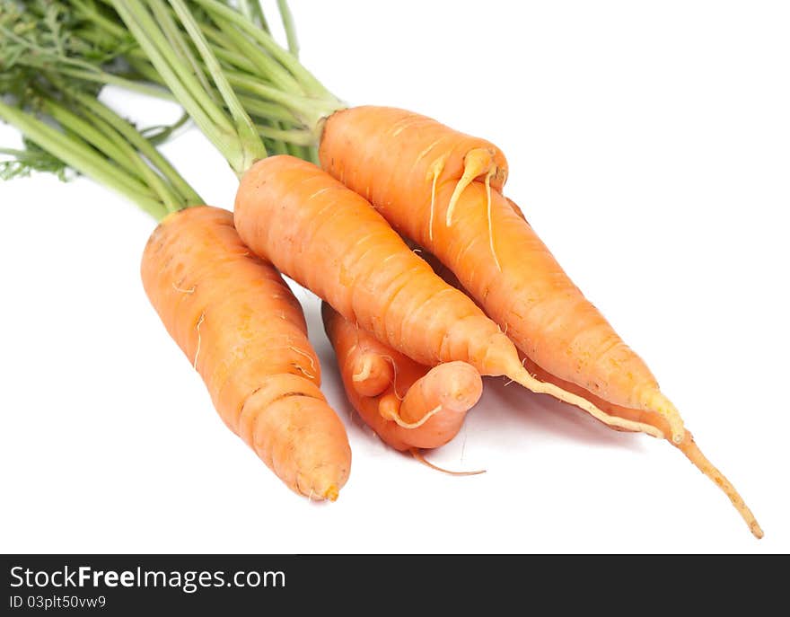 Carrots on a white background