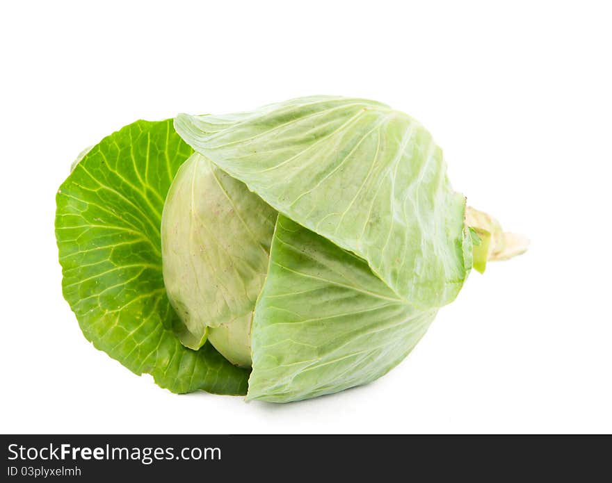 Cabbage on a white background