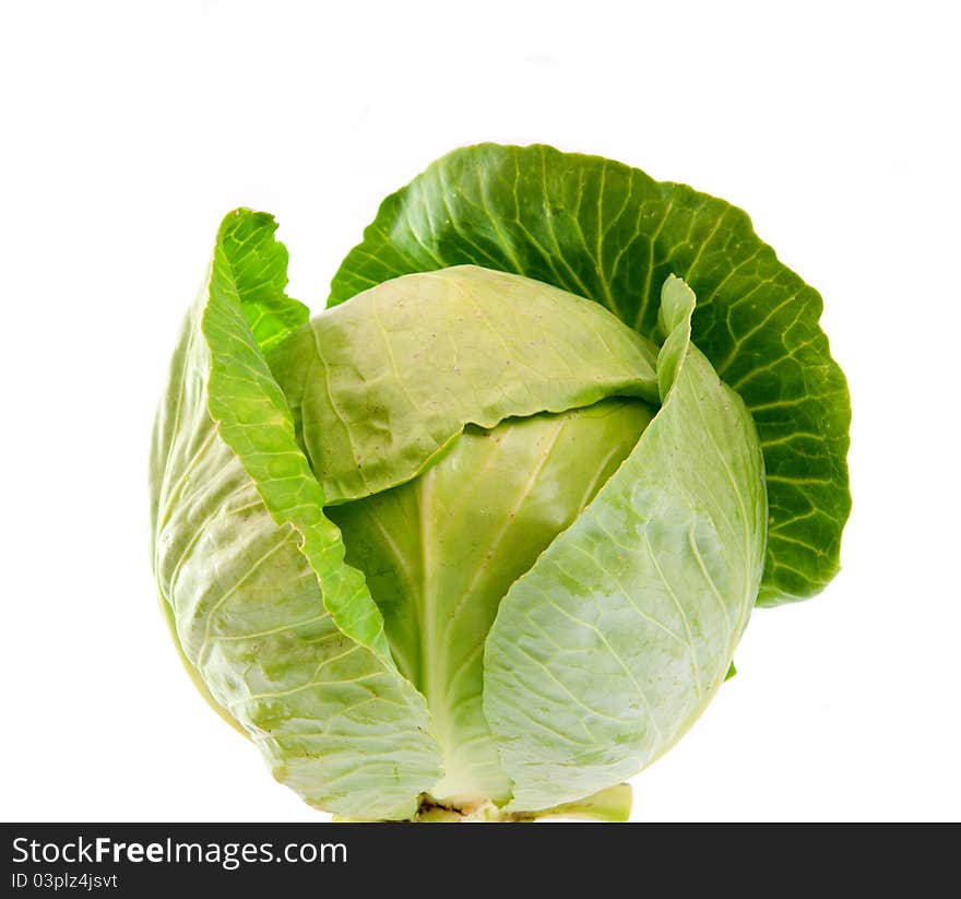 Cabbage on a white background