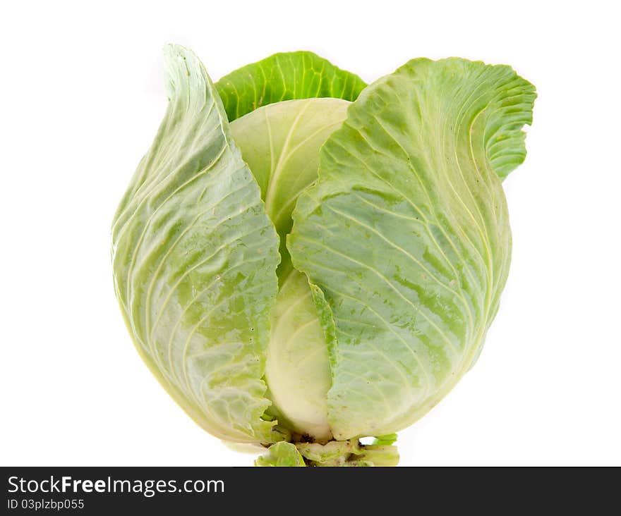 Cabbage on a white background