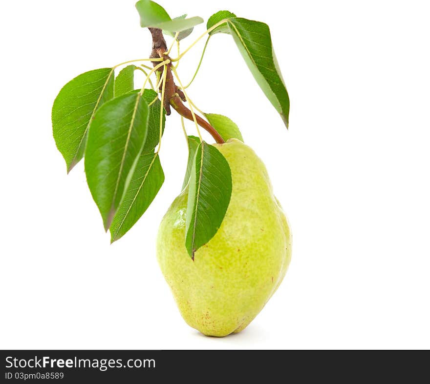 Pear on a white background