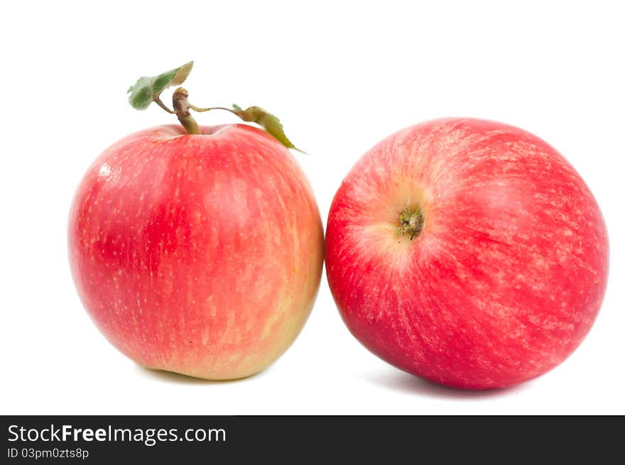 Apple on a white background