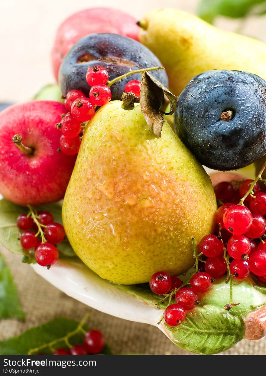 Fresh ripe pears, plums, red currant and apples in bowl on natural background. Selective focus. Fresh ripe pears, plums, red currant and apples in bowl on natural background. Selective focus