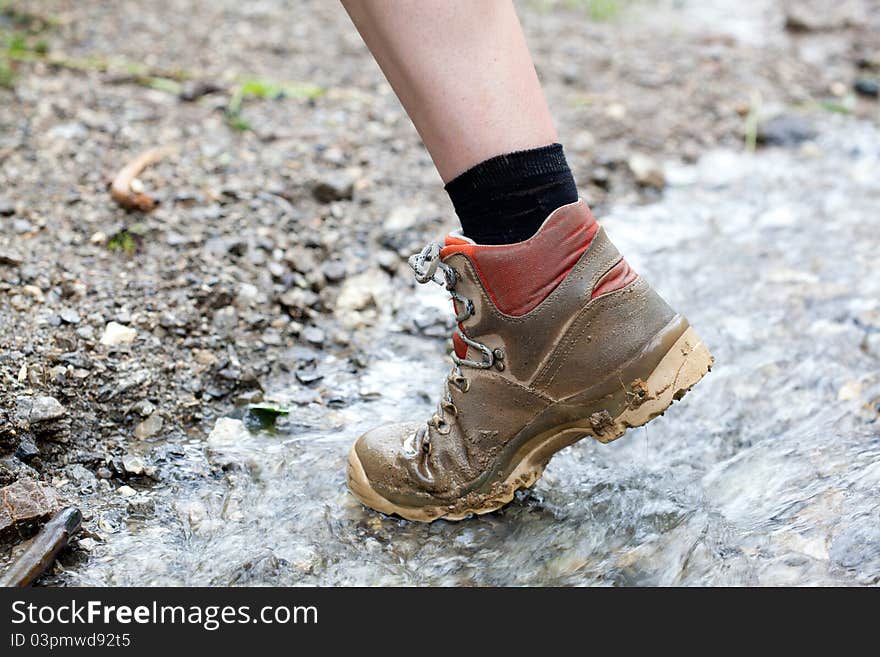 View of a leg taking a walk in a wet streambed. View of a leg taking a walk in a wet streambed.