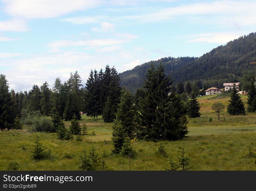 Alpine landscape