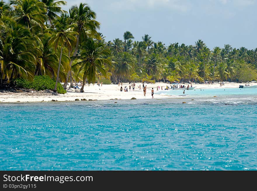 Caribbean island with a nice beach and green palms. The picture of the beach is taken from a boat on sea. Caribbean island with a nice beach and green palms. The picture of the beach is taken from a boat on sea.