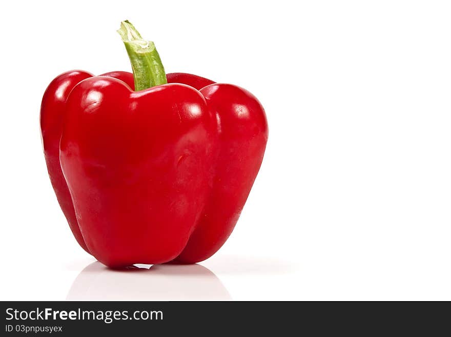 Red bell pepper on white background with blank text copy space