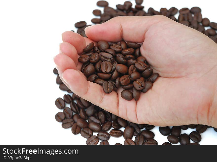 Close up of coffee seed in font and pattern.