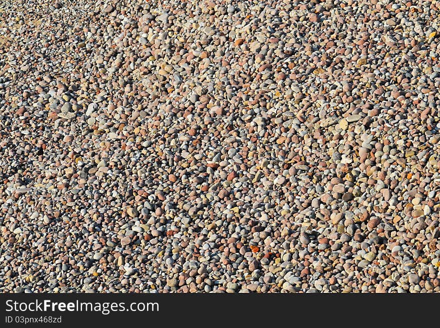 Sea pebble with seashell on beach. Sea pebble with seashell on beach