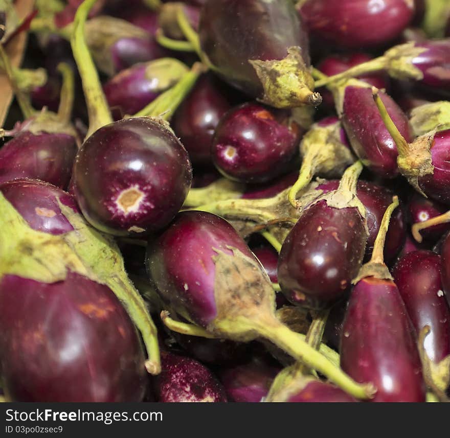 Freshly picked eggplants a healthy choice to eating better