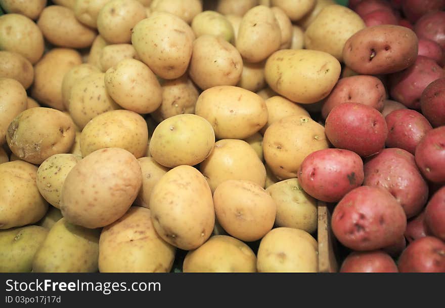 Red and white potatoes ready for the consumer. Red and white potatoes ready for the consumer