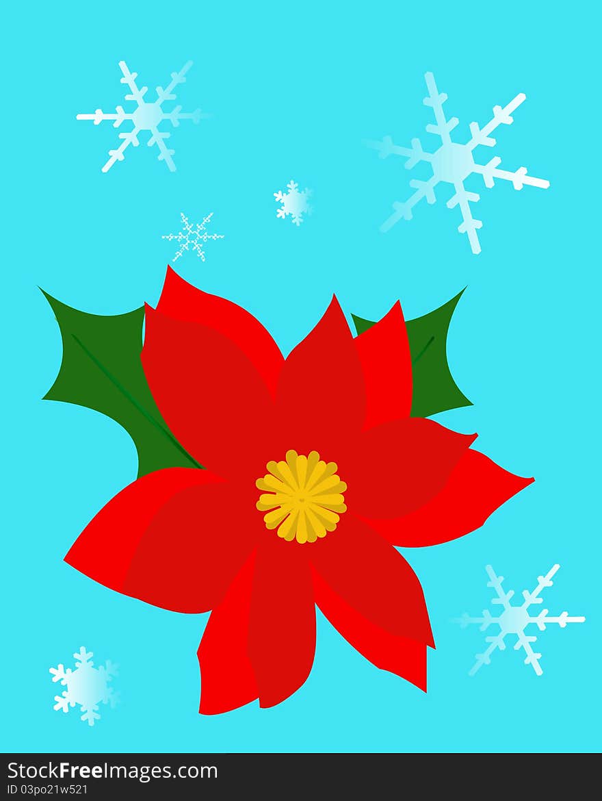 Christmas Poinsettia