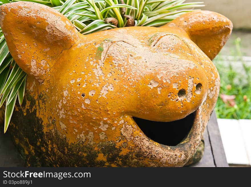 Pot pig smile