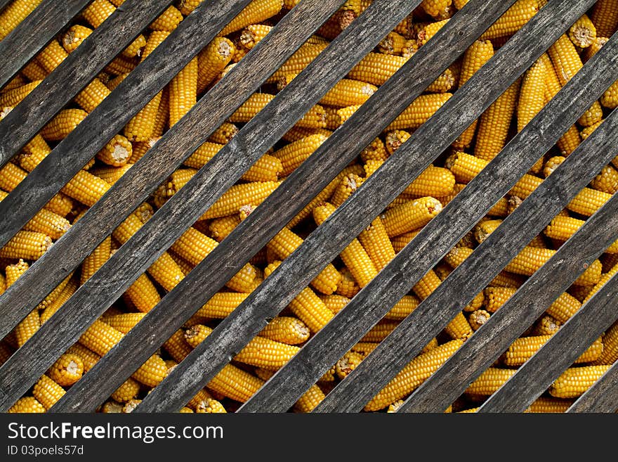 Corn supplies in a wooden barn